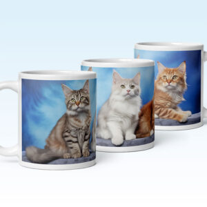 Mug photo de chatons